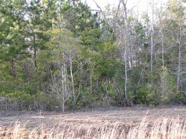 LOT 28 Capers Creek Dr. Myrtle Beach, SC 29579