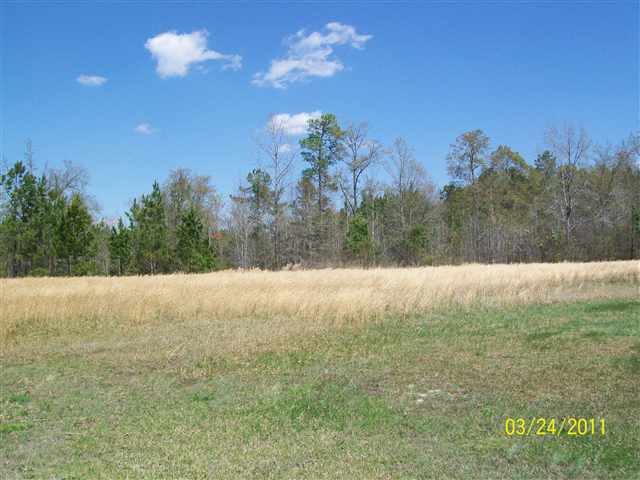 Lot 5 Cat Tail Bay Dr. Conway, SC 29527