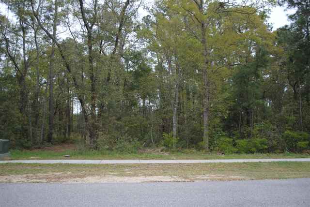 Lot 9 Not Specified Murrells Inlet, SC 29576