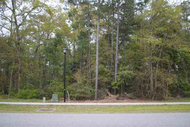 Lot 10 Not Specified Murrells Inlet, SC 29576