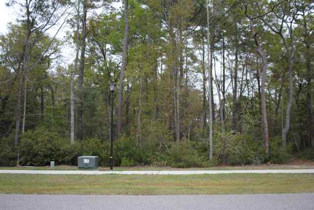 Lot 12 Not Specified Murrells Inlet, SC 29576