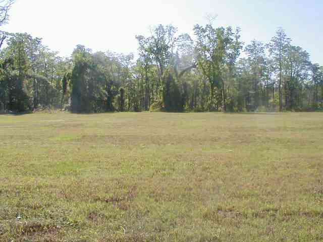 Lot 23 Wahee Pl. Conway, SC 29527