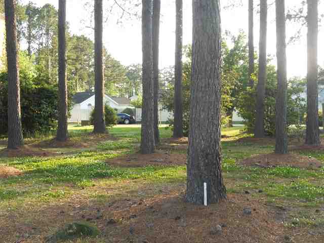 Lt 2 Goodson Ave. Longs, SC 29568