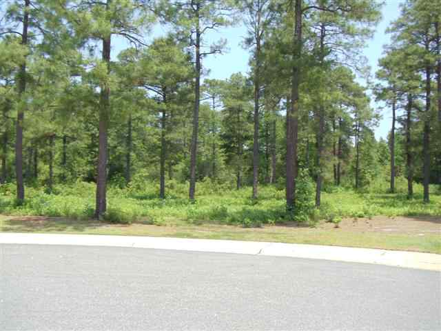 LOT 590 Plumfield Ct. Myrtle Beach, SC 29579