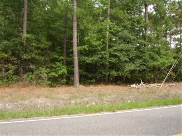 Tract 33 Highway 50 Little River, SC 29566