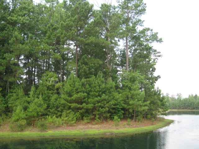 Lot 1 Broad River Rd. Myrtle Beach, SC 29588