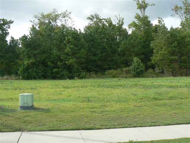 Lot 485 East Isle of Palms Ave. Myrtle Beach, SC 29579