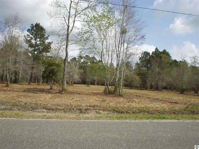 Lot 55 Loblolly Ave. Little River, SC 29566