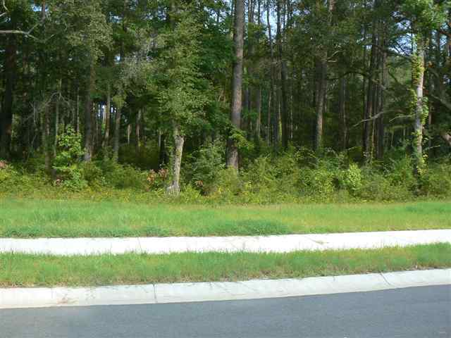 Lot 26 Summergate Dr. Pawleys Island, SC 29585