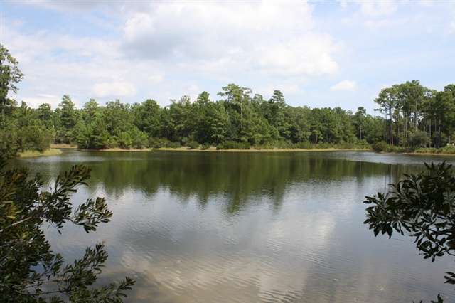 Lot 69 Nesting Pond Ct. Pawleys Island, SC 29585