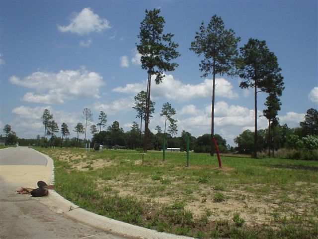 Lot 41 Goretown Loop Loris, SC 29569