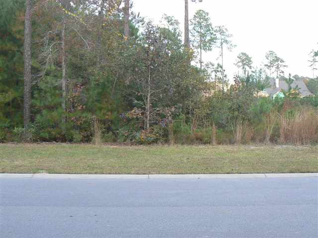 Lot 50 Palm Bay Dr. Murrells Inlet, SC 29576