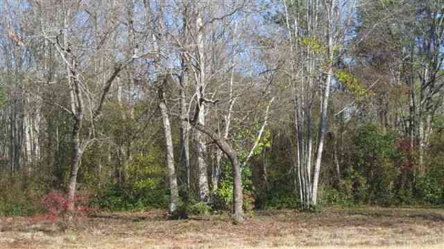 LOT 583 Yellow Morel Way Myrtle Beach, SC 29579