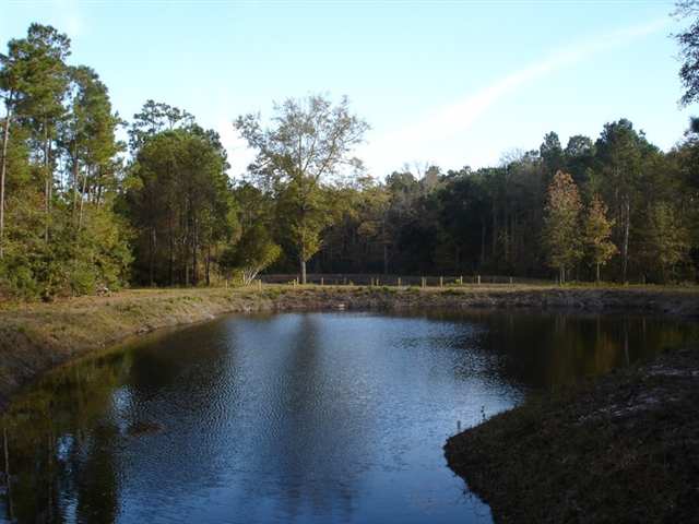 Lot 75 Nesting Pond Ct. Pawleys Island, SC 29585