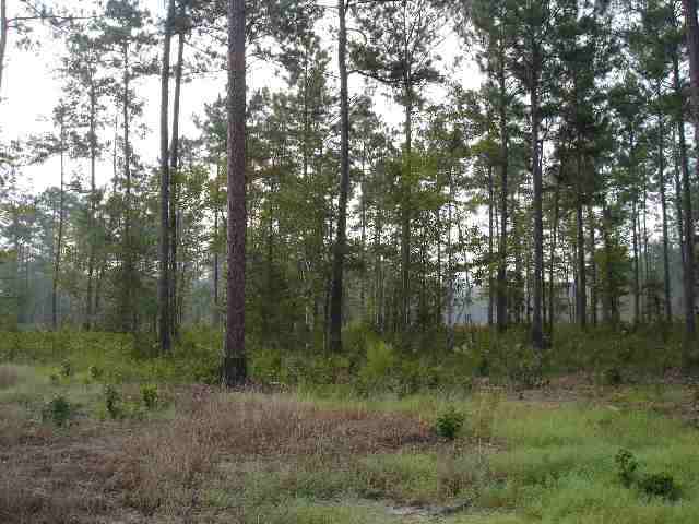 LOT 275 Blease Ct. Myrtle Beach, SC 29588