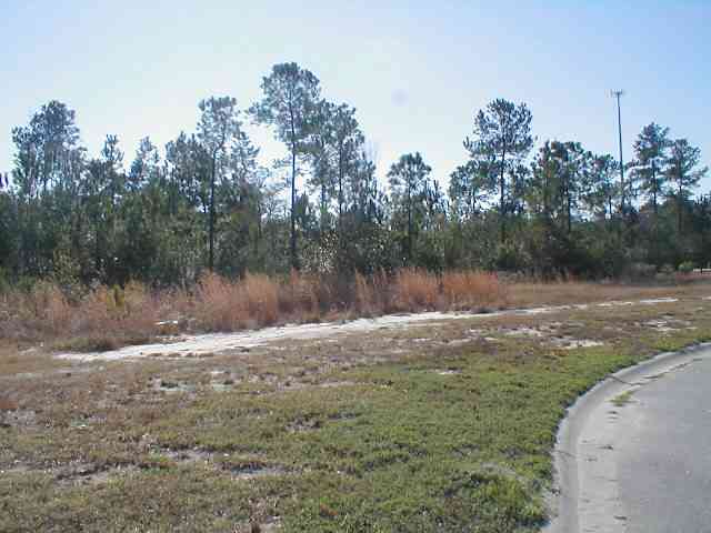 Lot 65 Marsh Tacky Loop Myrtle Beach, SC 29588