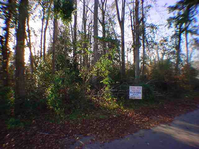 Lot 211 & S 31st Ave. N Atlantic Beach, SC 29582