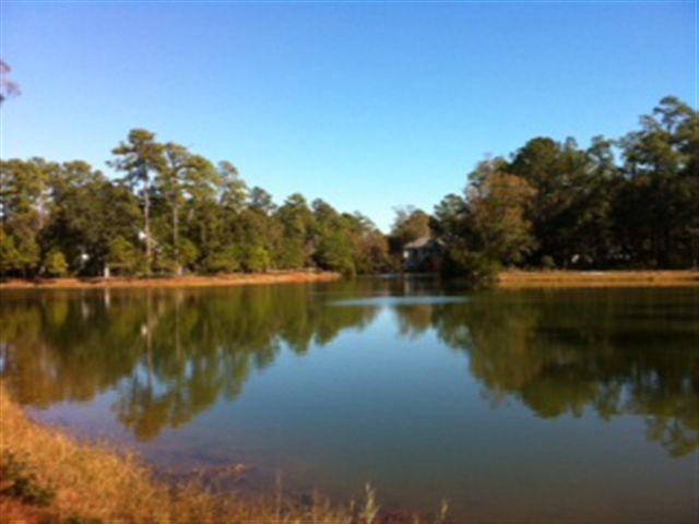 Lot 108 Woodstork Ln. Georgetown, SC 29440