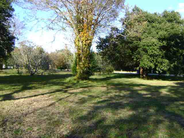 Lot 19 N N Oak Dr. & N Myrtle Dr. Surfside Beach, SC 29575