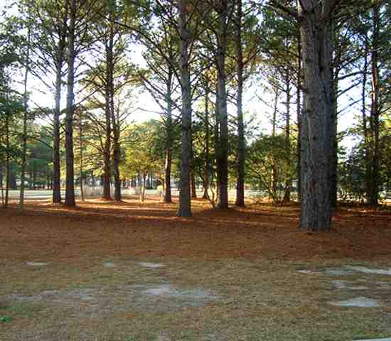 1064 NW Ridge Walk Way Calabash, NC 28467