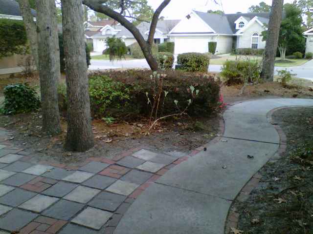 2009 Ayershire Ln. Myrtle Beach, SC 29575