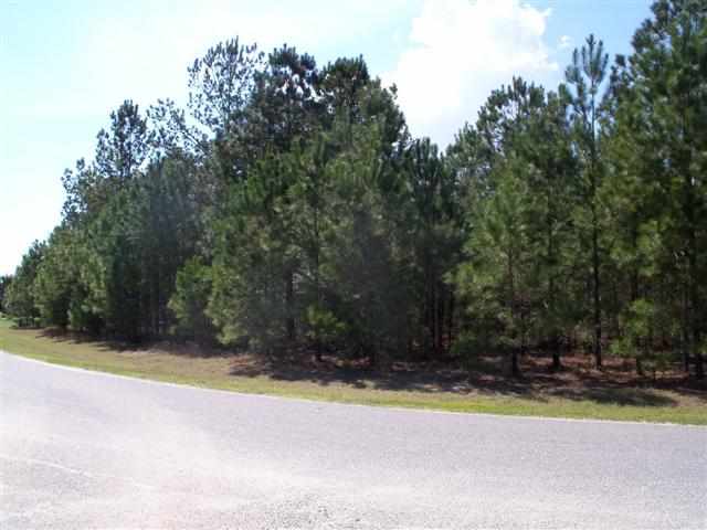 Lot 41 Meadow Wood Ln. Longs, SC 29568