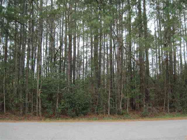 Lot 7 Bluegil Dr. Longs, SC 29568