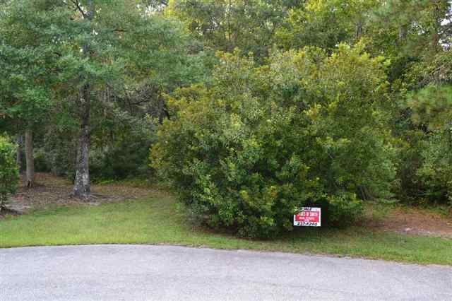 Lot 124 Jerry Ct. Pawleys Island, SC 29585