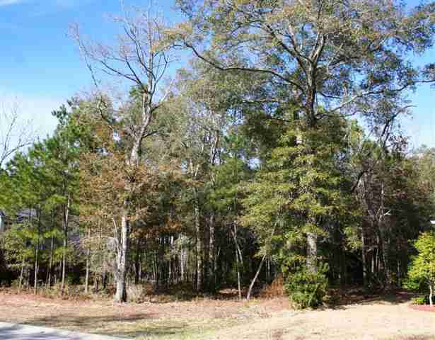 Lot 70 Hunters Oak Ct. Pawleys Island, SC 29585