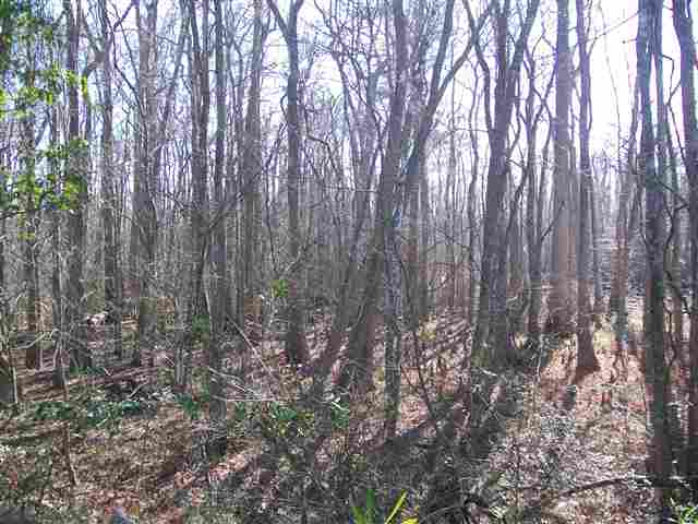 Lot 36 Hemphill St. Conway, SC 29526