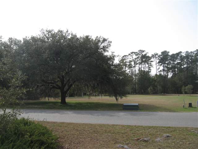 lot 205 All Saints Loop Pawleys Island, SC 29585