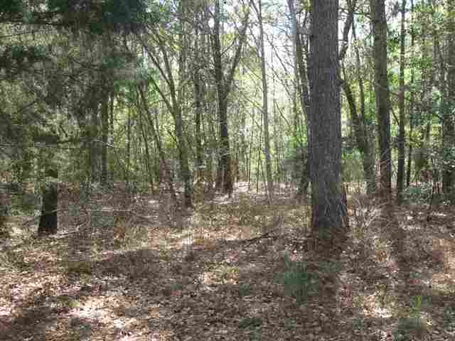 Lot 149 Monarch Ct. Pawleys Island, SC 29585