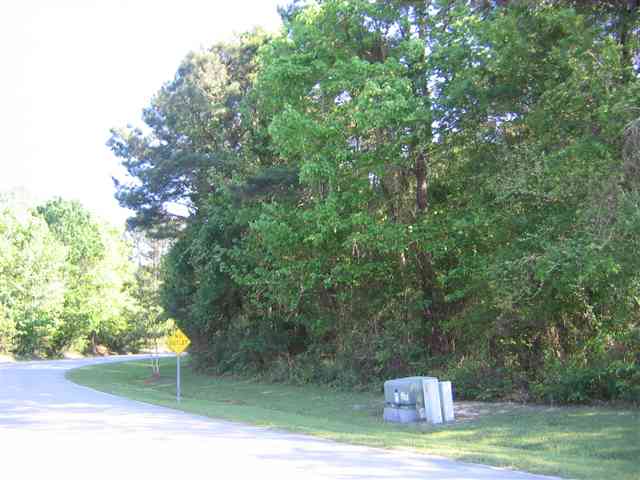 Lot 2 Pelican Bay Rd. Little River, SC 29566