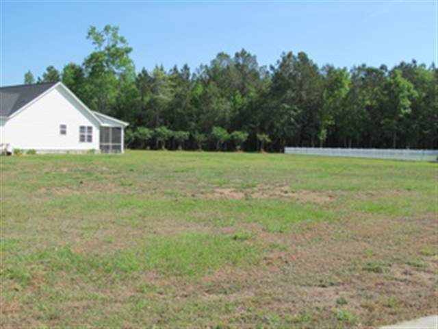 LOT 8 Tiger Grand Dr. Conway, SC 29526