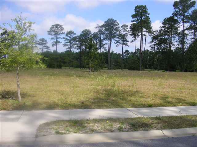 Lot 166 Wild Wing Blvd. Conway, SC 29526