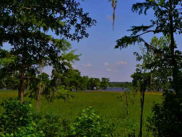 Lot 4 Rice Bluff Rd. Pawleys Island, SC 29585