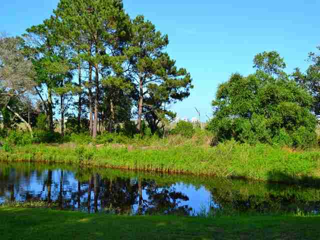 Lot 2 Enclave Dr. Pawleys Island, SC 29585