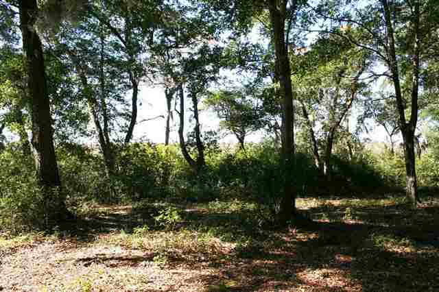 Lot 14 Brickwell Ln. Pawleys Island, SC 29585