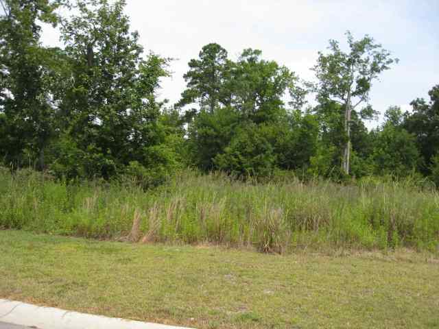 Lot 26 Maple Oak Dr. Conway, SC 29526