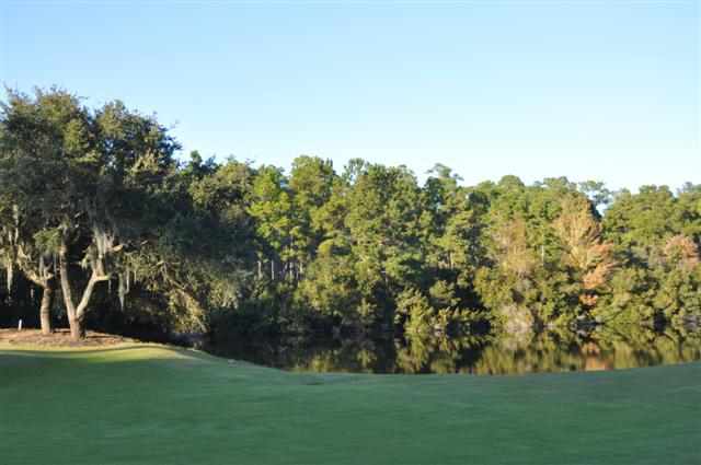 Lot 6 Collins Meadow Dr. Georgetown, SC 29440