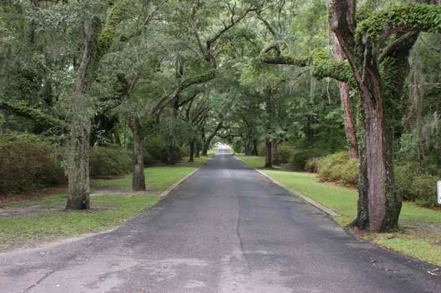 Lot 1 Tuckers Rd. Pawleys Island, SC 29585