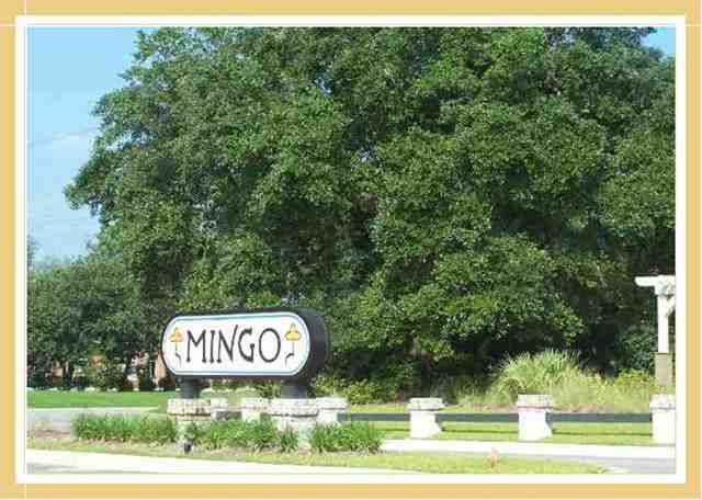 Lot 111 Mingo Rd. Pawleys Island, SC 29585