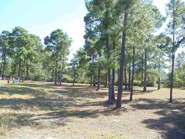 LOT 787 Walcott Dr. Myrtle Beach, SC 29579