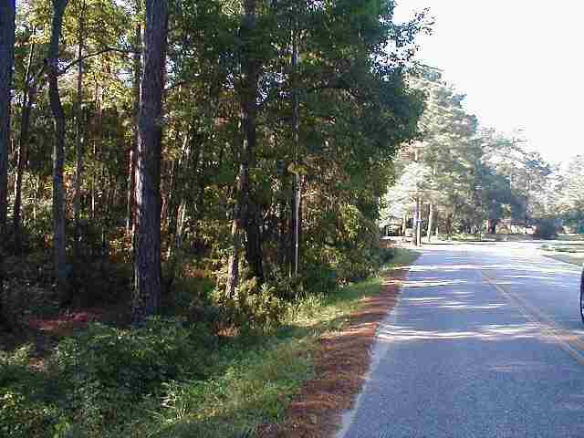 Lot 16 Aspen Loop Pawleys Island, SC 29585