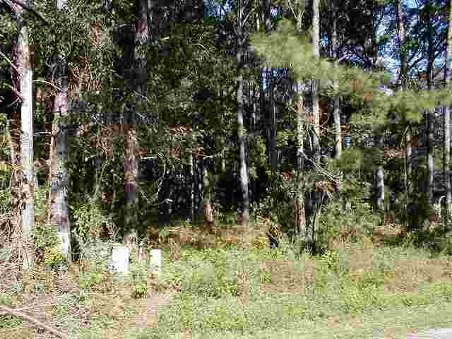 Lot 3 Red Maple Dr. Pawleys Island, SC 29585