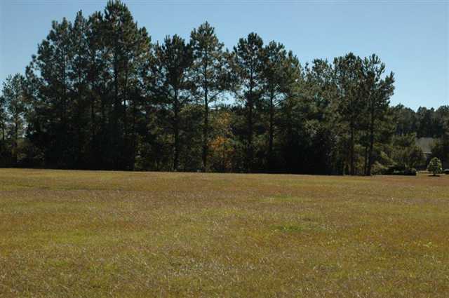 Lot 6F Bear Lake Dr. Longs, SC 29568