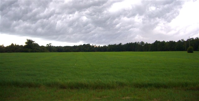 00 South Soles Cemetary Ln. Tabor City, NC 28463