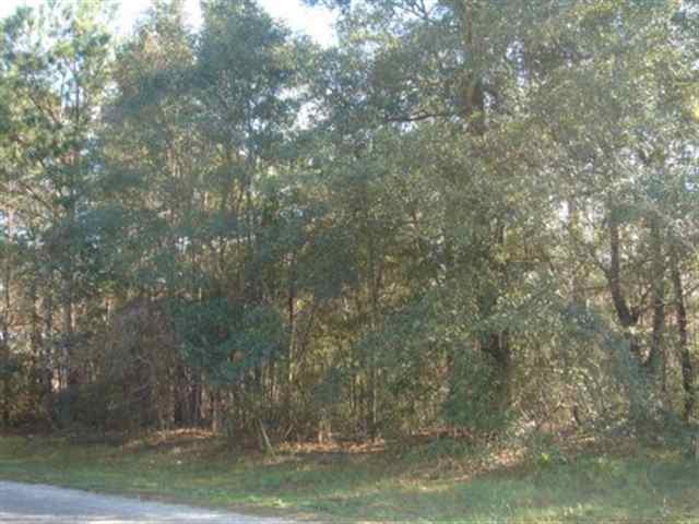 Lot 45 Navigators Way Pawleys Island, SC 29585