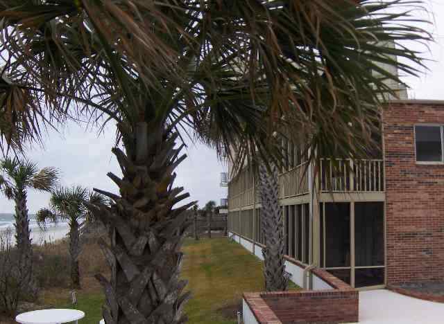 1 Norris Dr. Pawleys Island, SC 29585