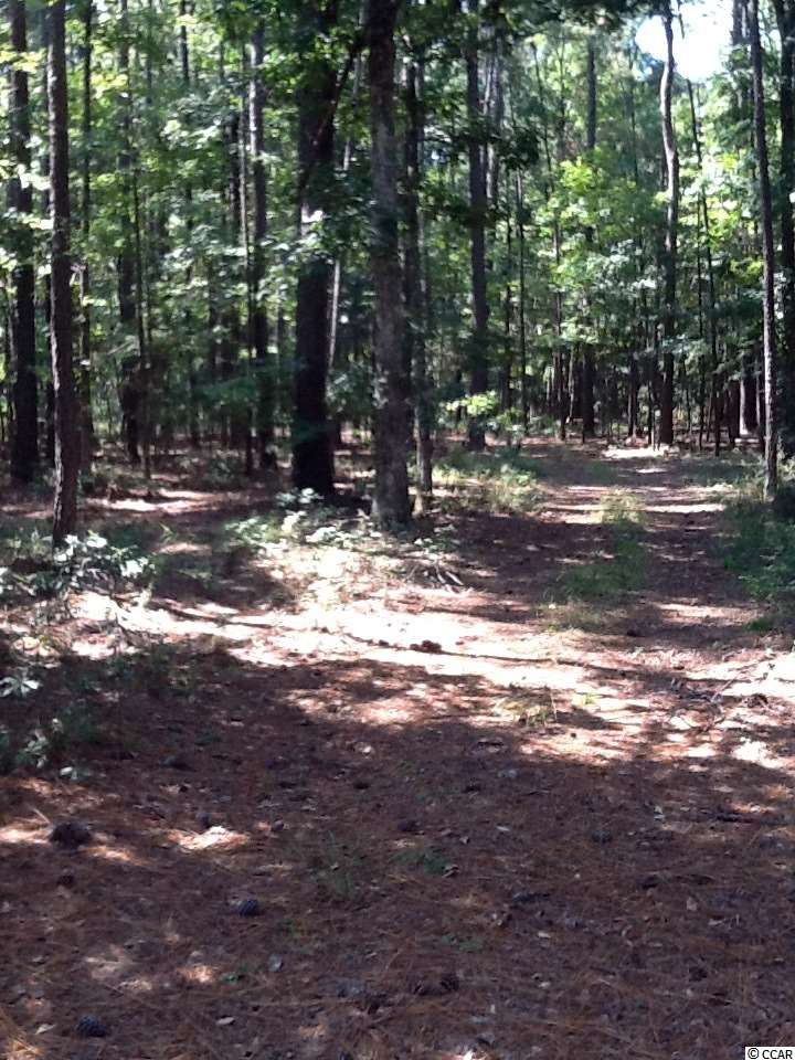 Lot 94 Vanderbilt Blvd. Pawleys Island, SC 29585